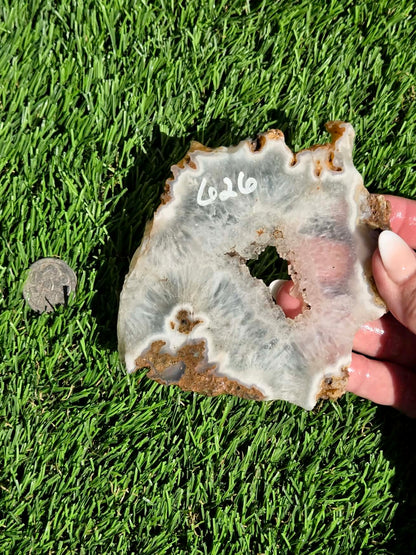 Natural Fortification Agate with Quartz Crystal Druzy Slabs M624-629