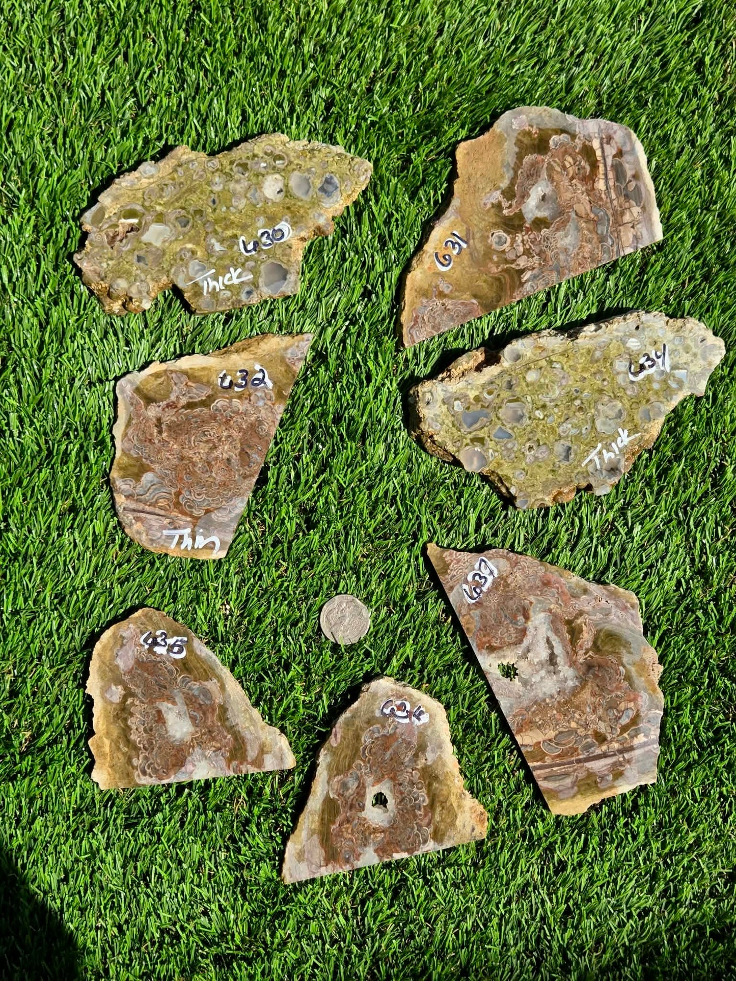 Green Mushroom Rhyolite M630-638
