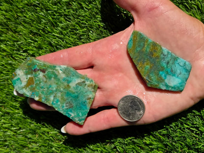 Globe Chrysocolla Slab Bundle-SB39