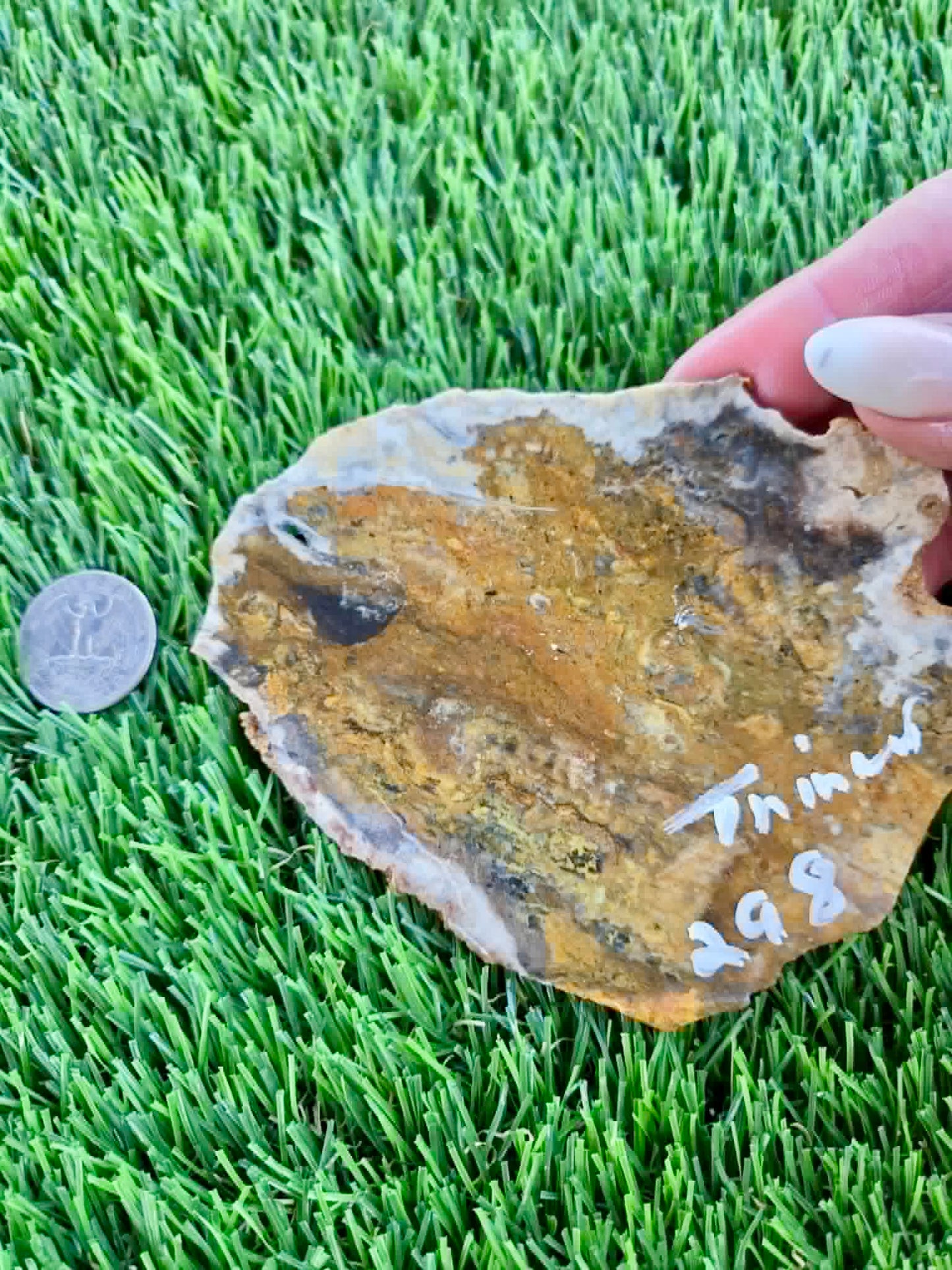 Iron-rich jasper/chalcedony with quartz Slabs F297-301