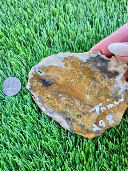 Iron-rich jasper/chalcedony with quartz Slabs F297-301