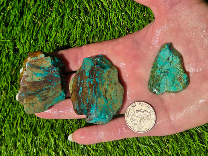 Malachite & Cooperite Slab Bundle SB89