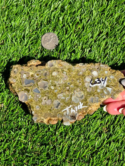 Green Mushroom Rhyolite M630-638