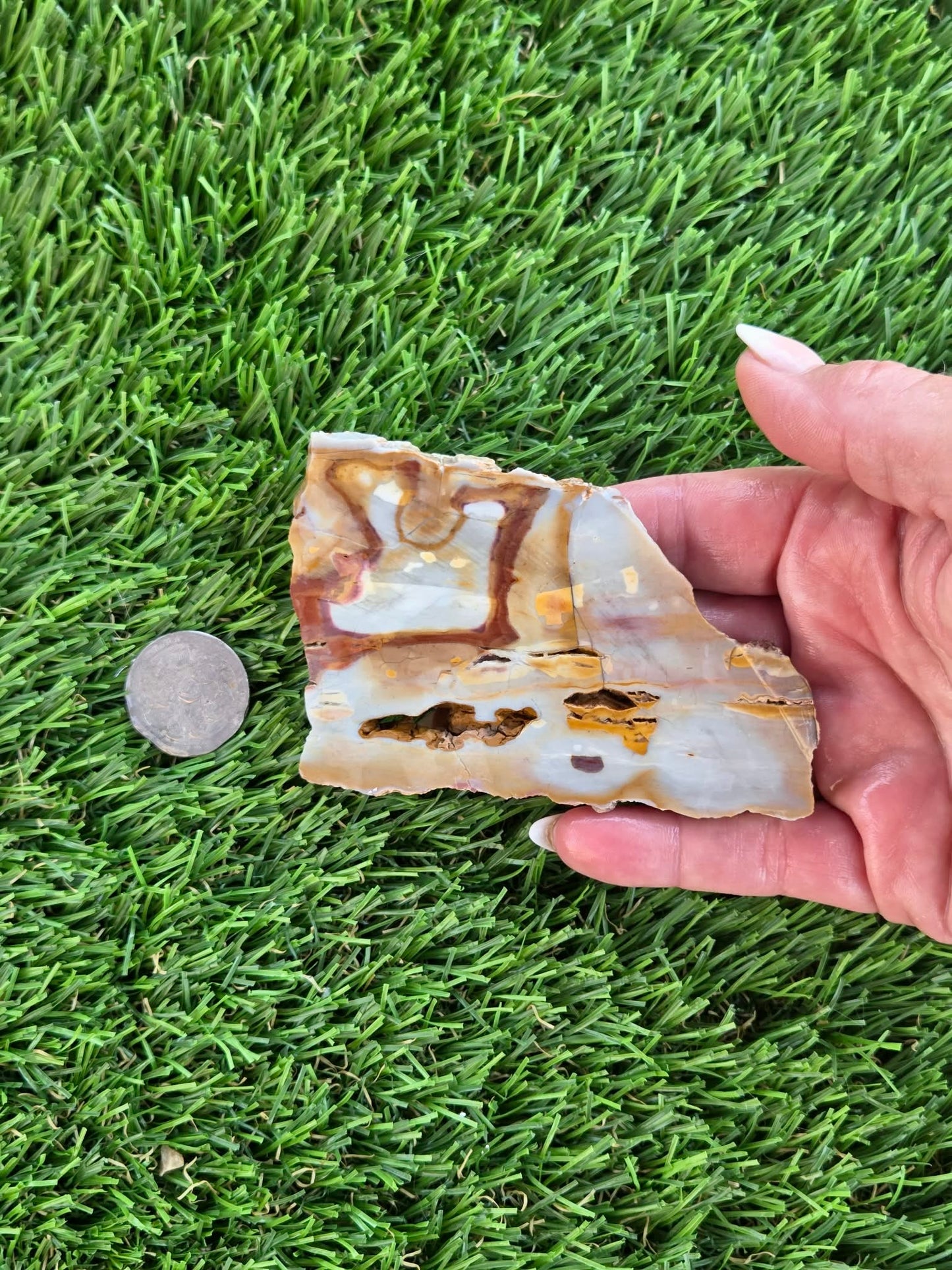 Banded Brecciated Jasper/Agate Slabs L557-562