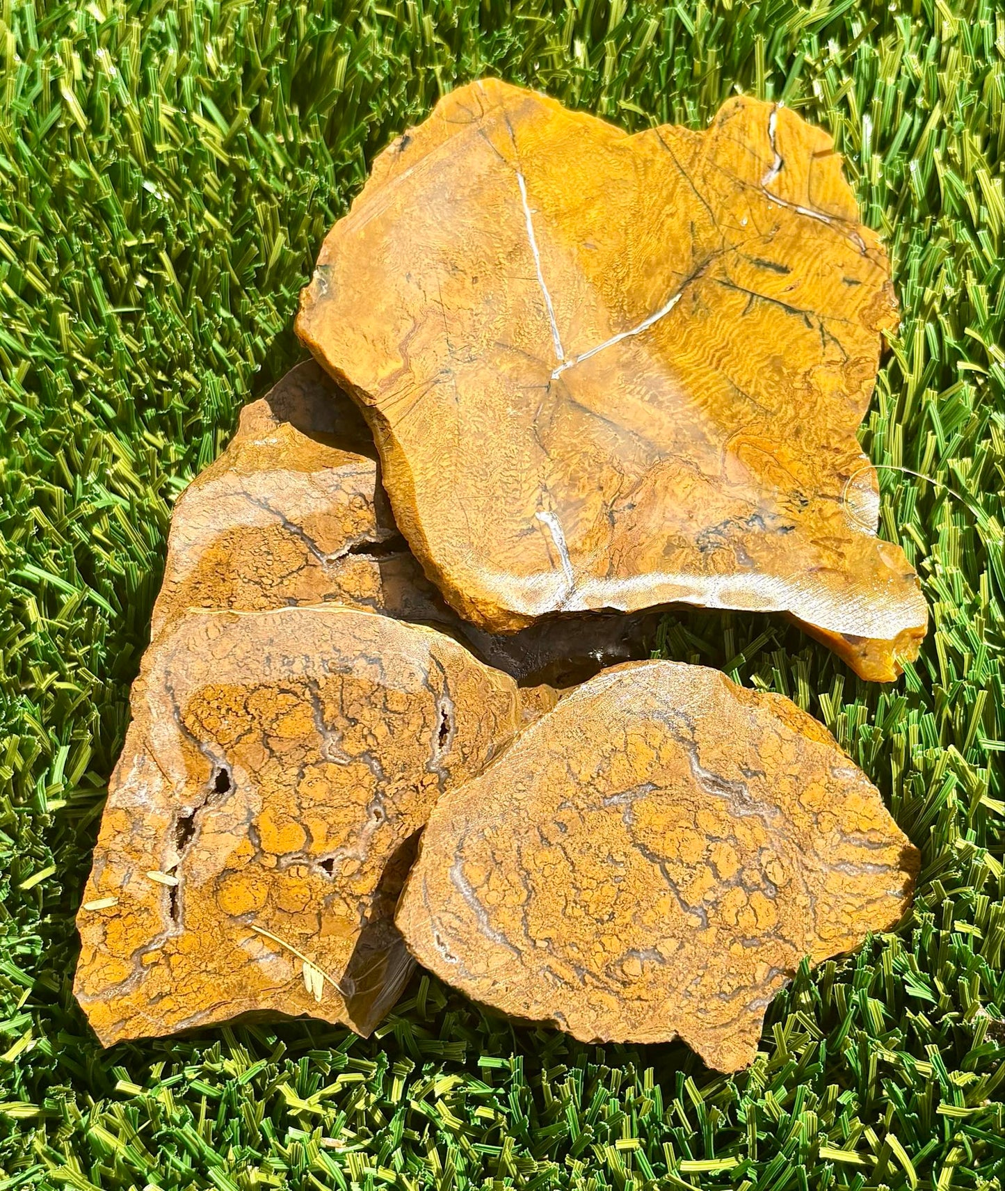 Bloody Basin Yellow Agate