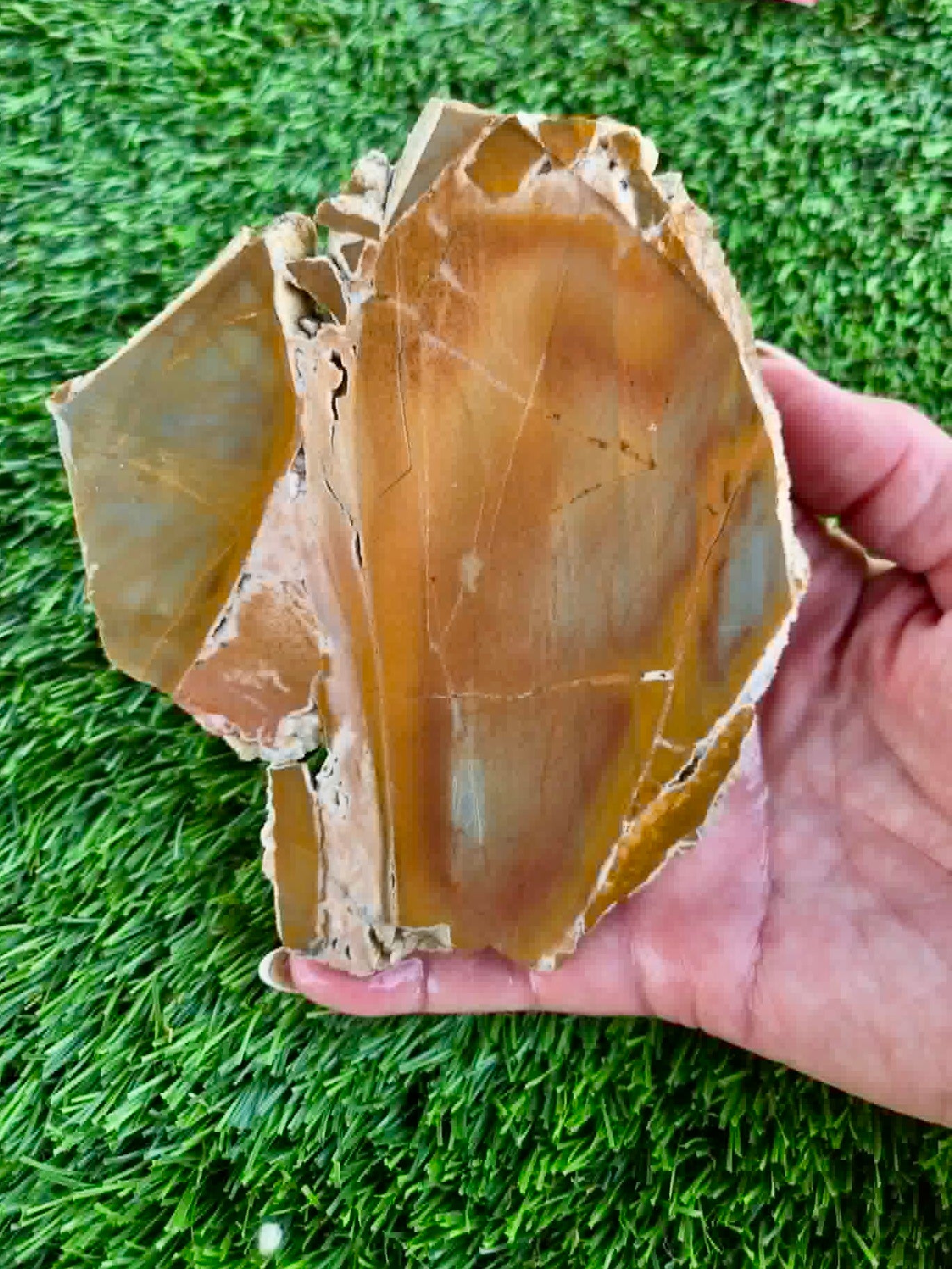 Golden Desert Jasper Slabs H405-408