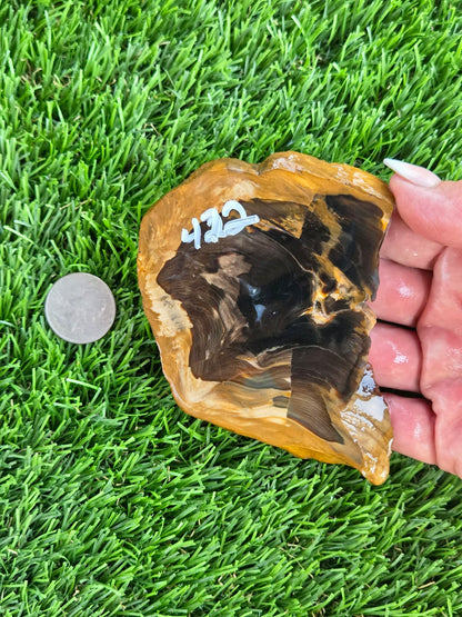 Utah Petrified Wood Slabs J470-473