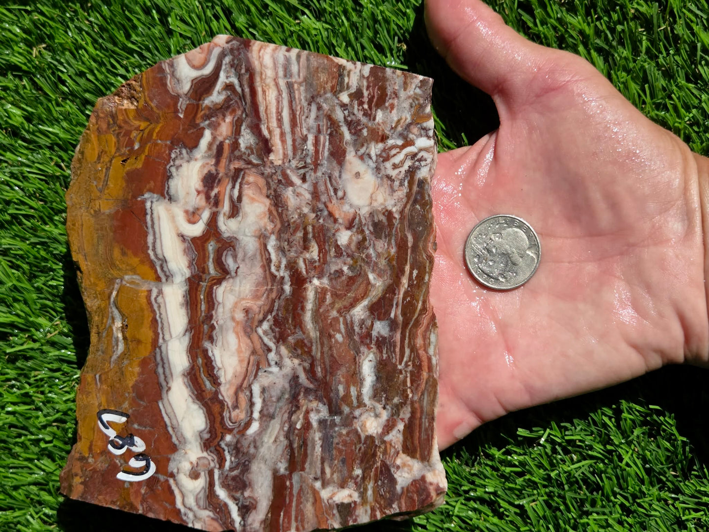 Banded Brecciated Jasper with Agate Slabs O686–689