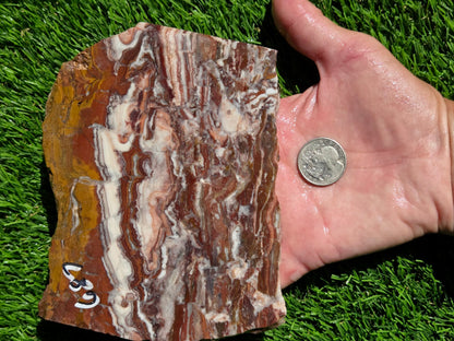 Banded Brecciated Jasper with Agate Slabs O686–689