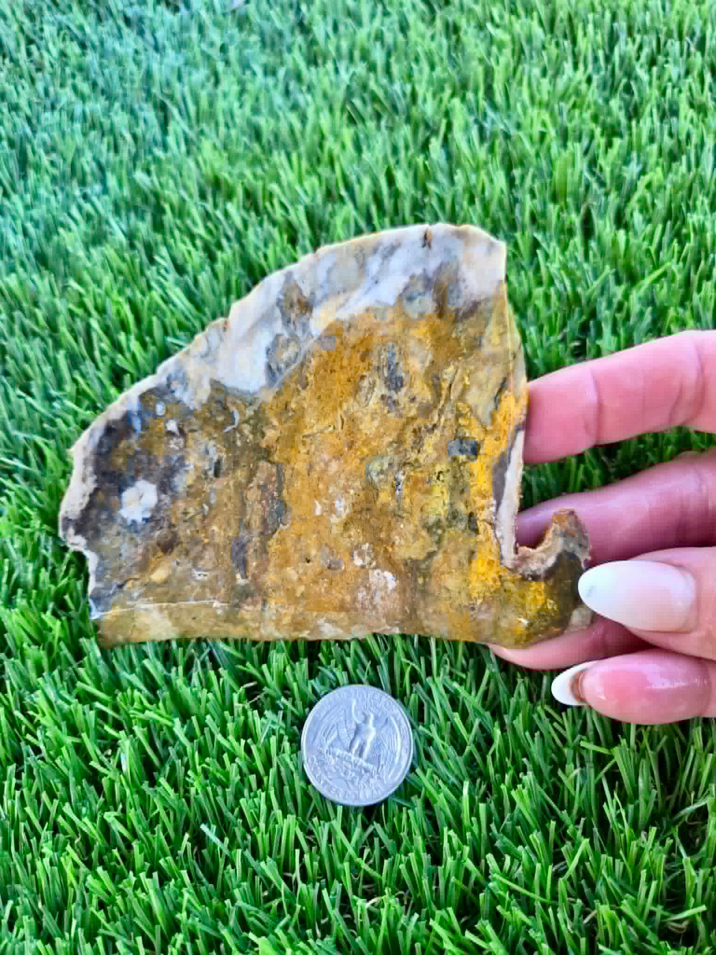 Iron-rich jasper/chalcedony with quartz Slabs F297-301