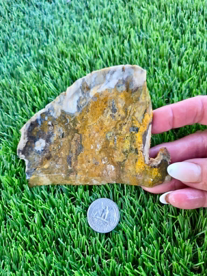 Iron-rich jasper/chalcedony with quartz Slabs F297-301