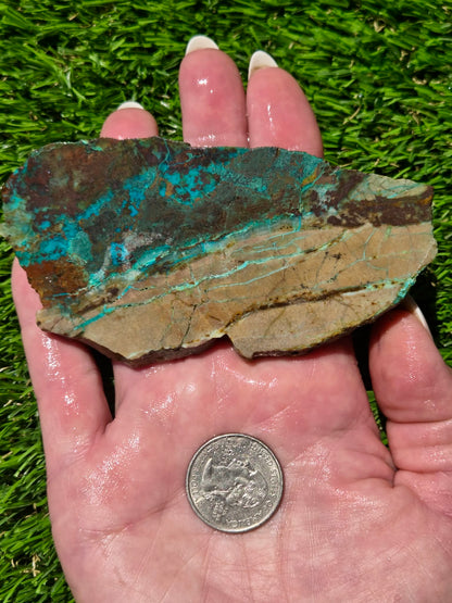 Chrysocolla Slab Bundle – Parker SB84