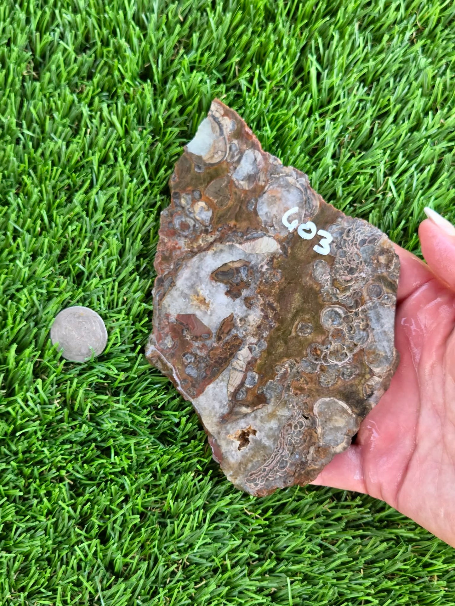 Green Mushroom Rhyolite M601-604
