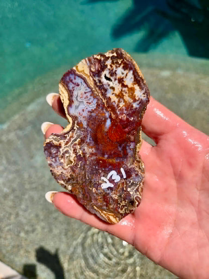 Camp Verde Agate Slab 225-231