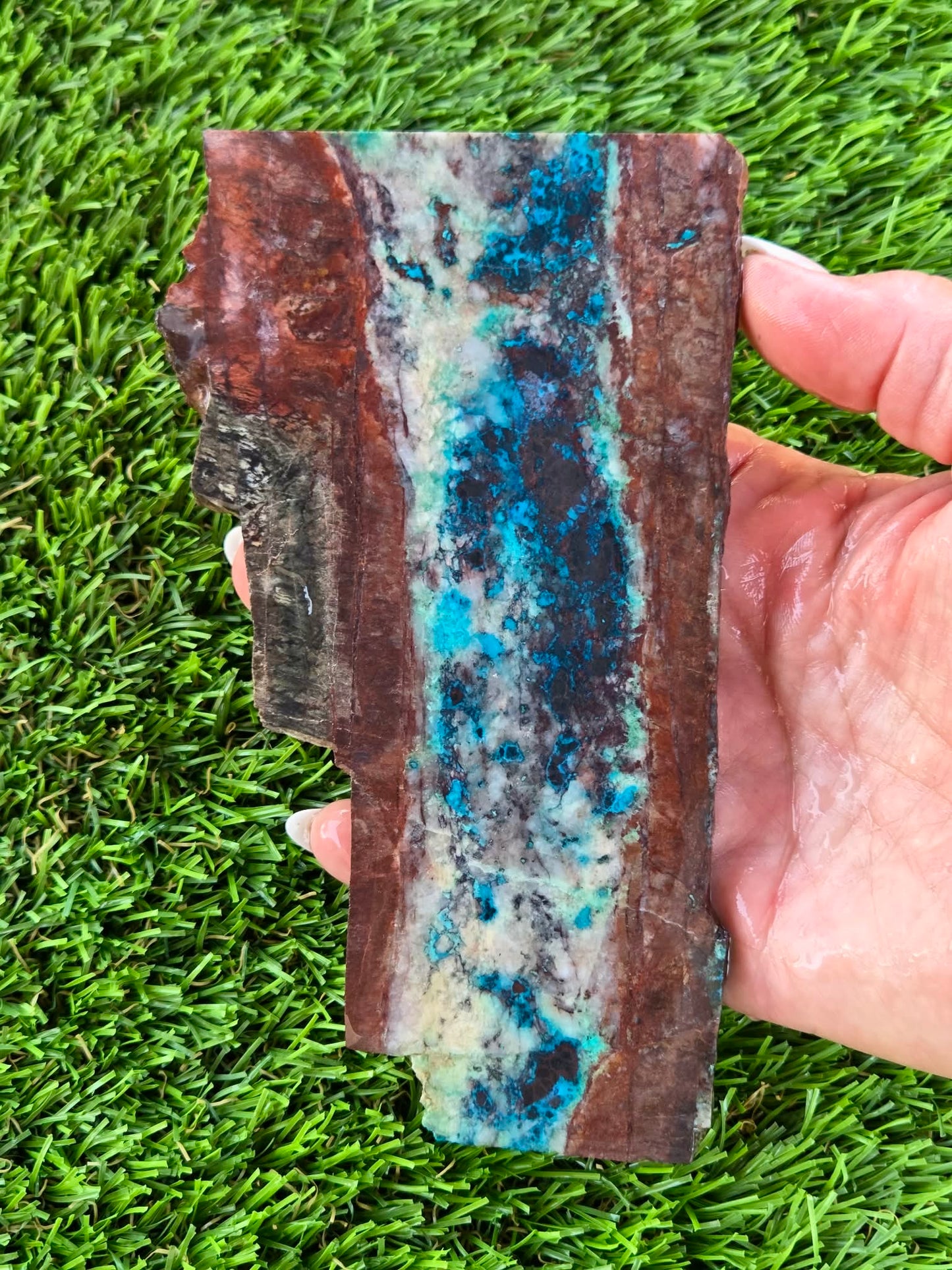 Shattuckite Slabs B107-112