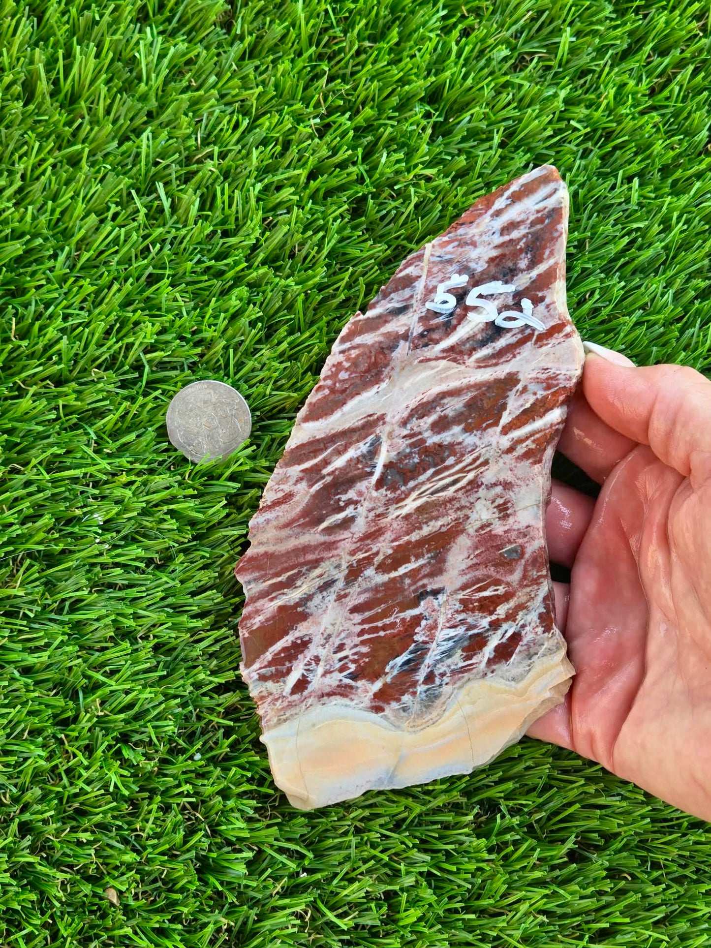 Red Creek Brecciated Jasper Slabs L548-552