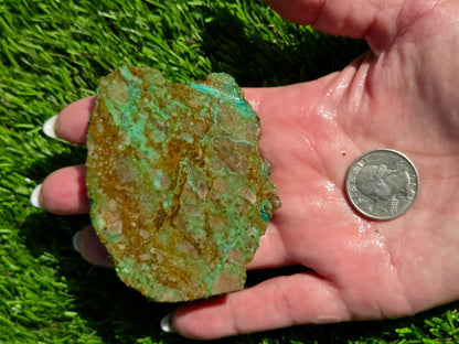Dominican Mine Chrysocolla & Hematite Slab Bundle SB160