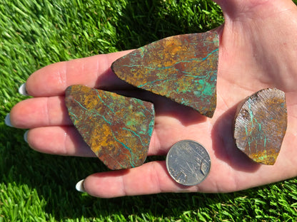 Chrysocolla Slab Bundle – Parker SB147