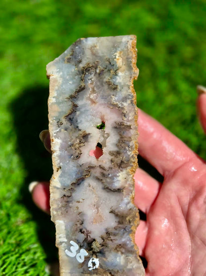 Graveyard Point Agate Slabs H379-384