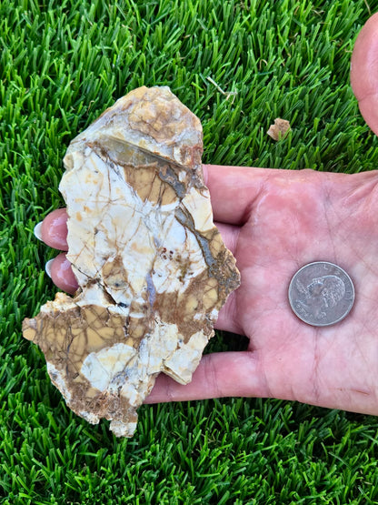 Brecciated Jasper Slabs T917–921