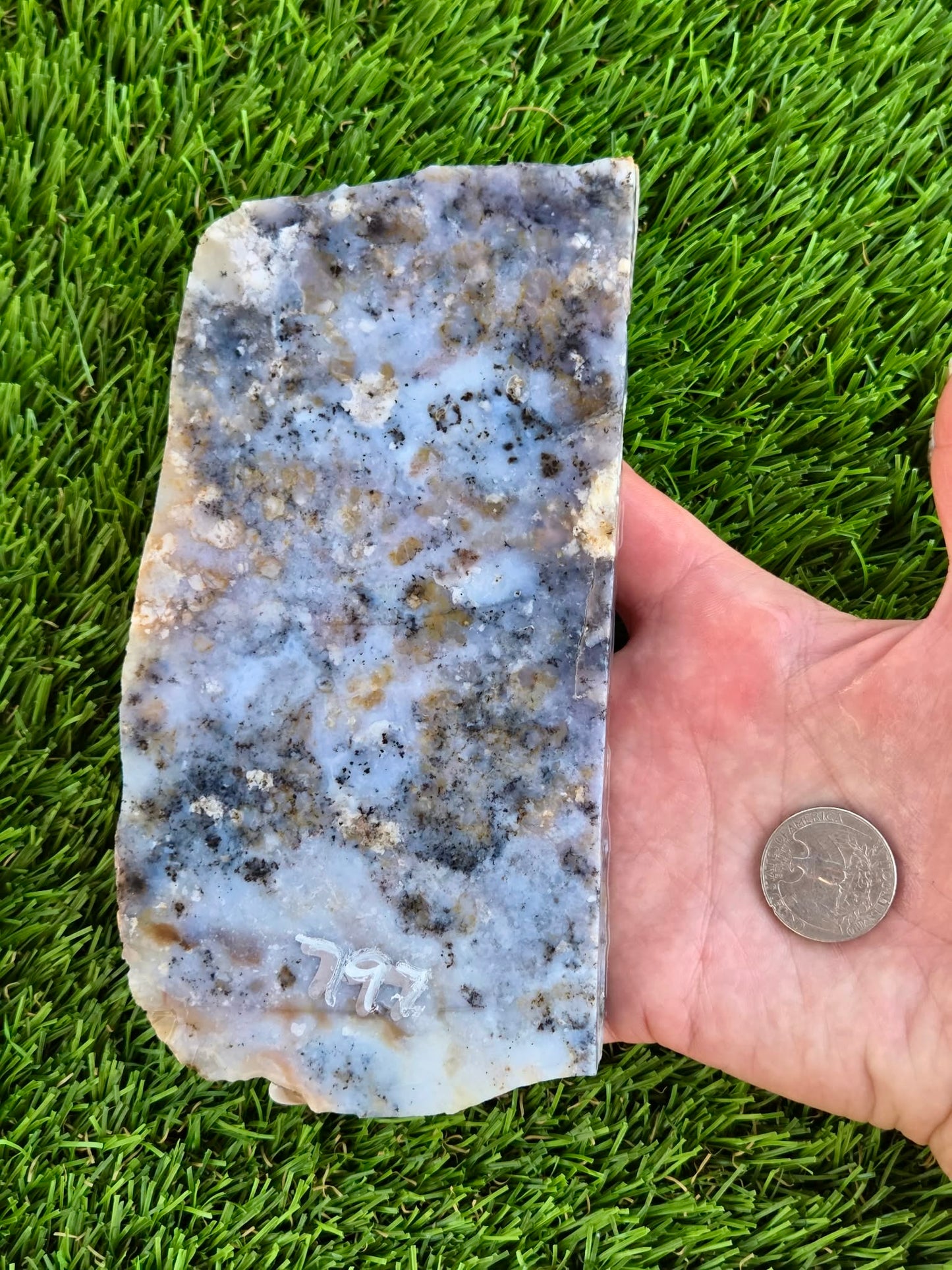 Moss Agate with Dendritic Inclusions Slabs Q797–798
