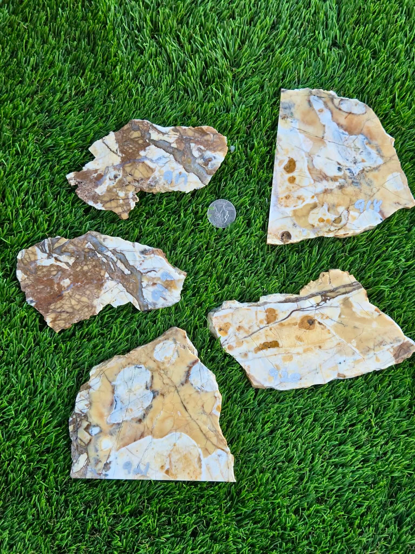 Brecciated Jasper Slabs T917–921