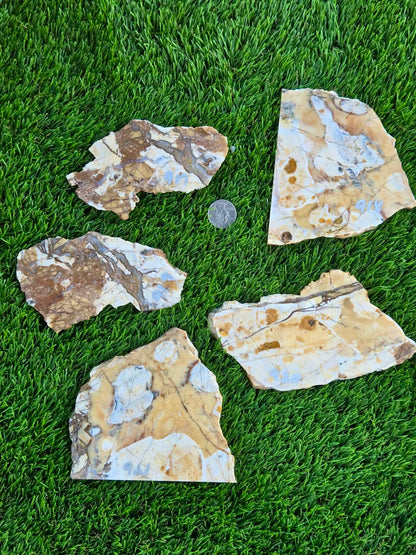 Brecciated Jasper Slabs T917–921