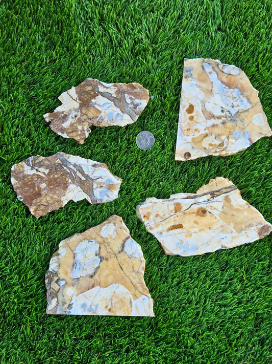 Brecciated Jasper Slabs T917–921