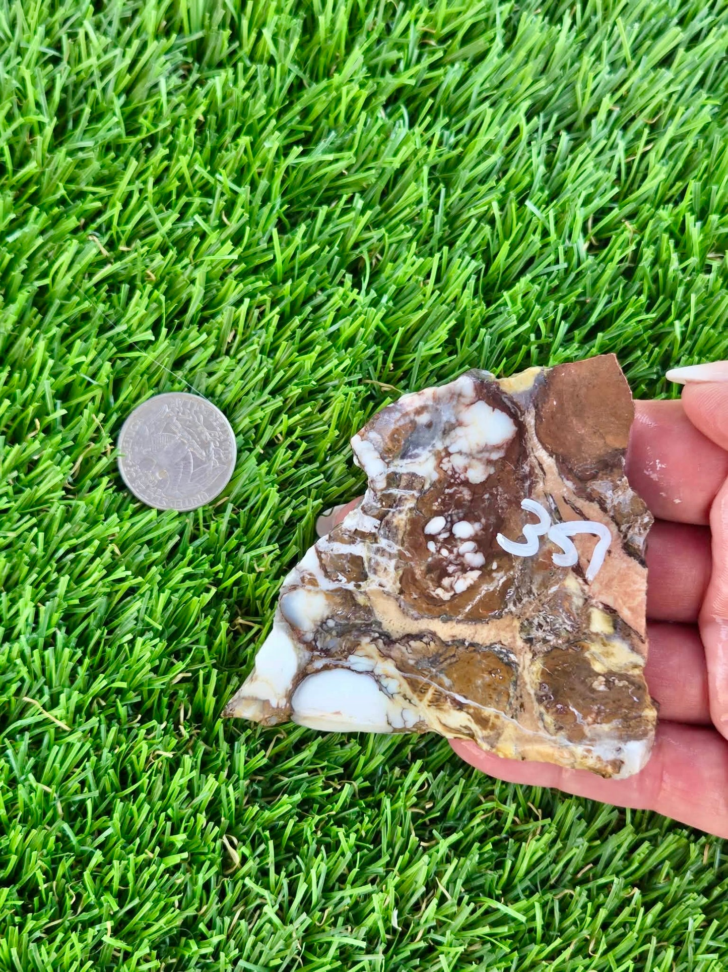 Wild Horse Jasper Slabs G354-359