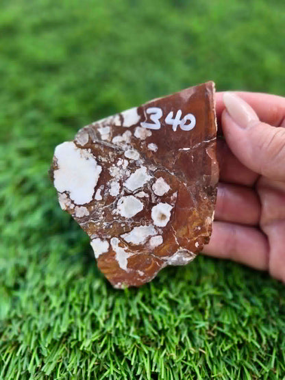 Wild Horse Jasper Slabs G338-341