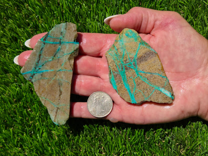 Globe Chrysocolla Slab Bundle-SB103