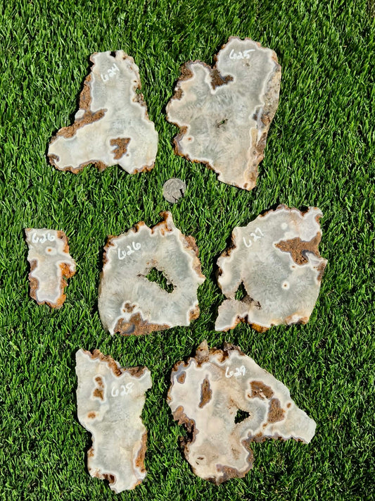 Natural Fortification Agate Crystal Druzy Slabs M624-629