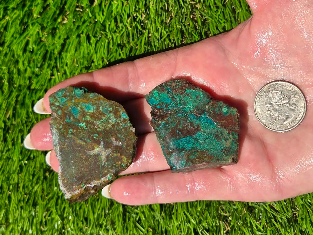 Globe Chrysocolla Slab Bundle-SB81