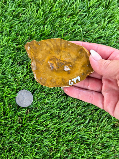Mustard Picture Jasper Slabs N673-677