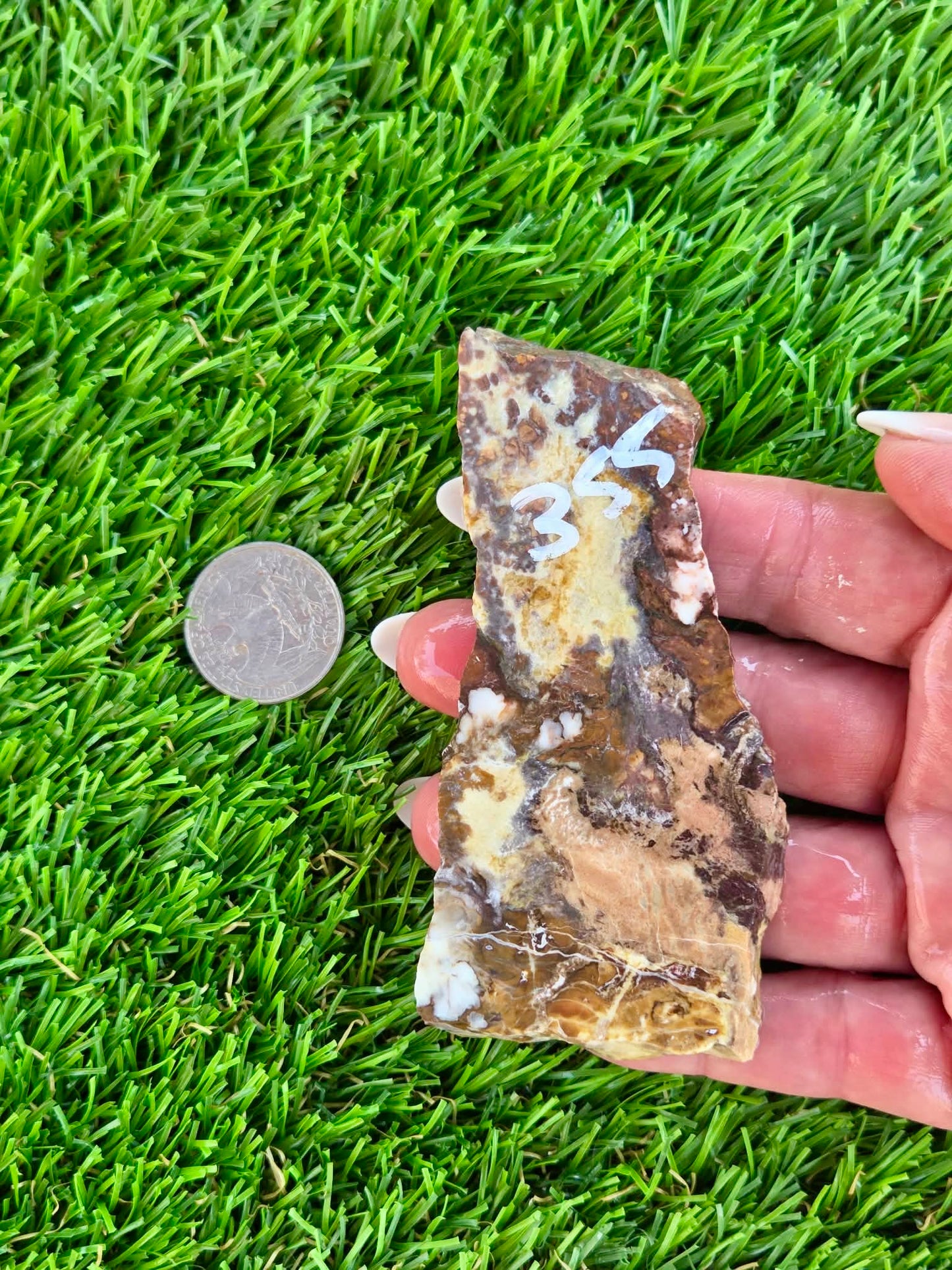 Wild Horse Jasper Slabs G354-359