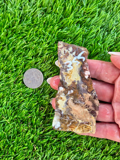 Wild Horse Jasper Slabs G354-359