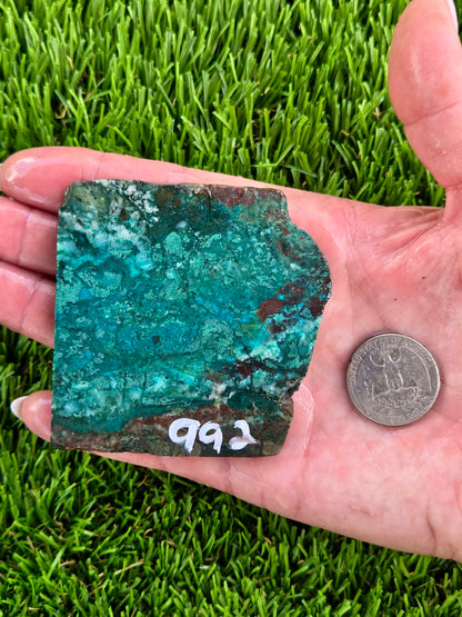 Globe Chrysocolla & Malachite Slabs V991–995