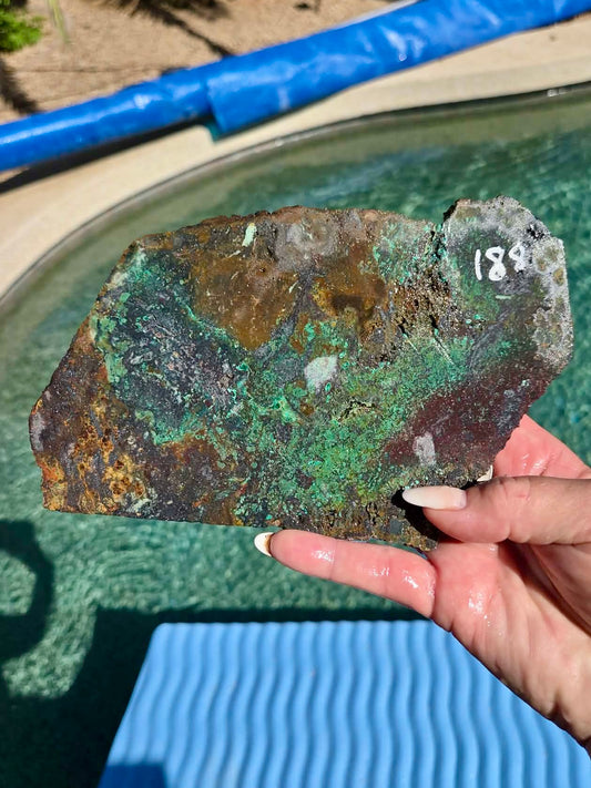 Plant Mine Chrysocolla slab 188-191
