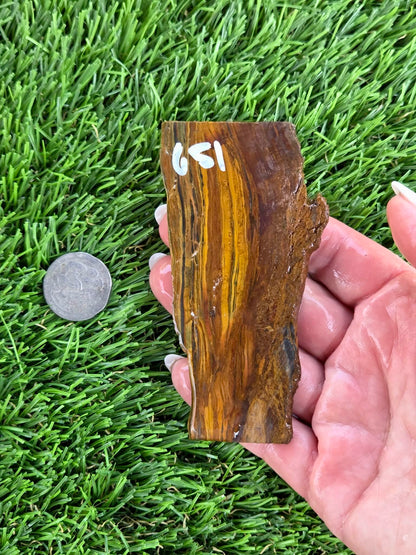 Golden Tiger’s Eye Slabs N650-651