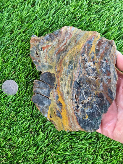 Rainbow Petrified Wood Slabs K516-517