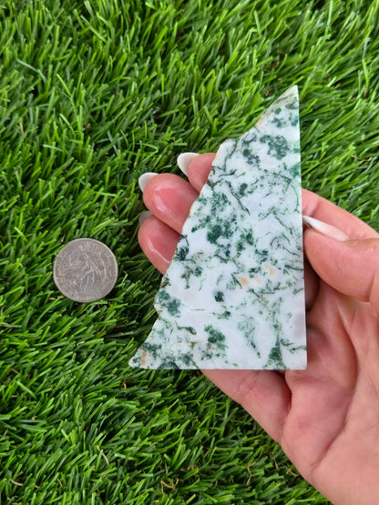 Tree Agate Slabs K523-529