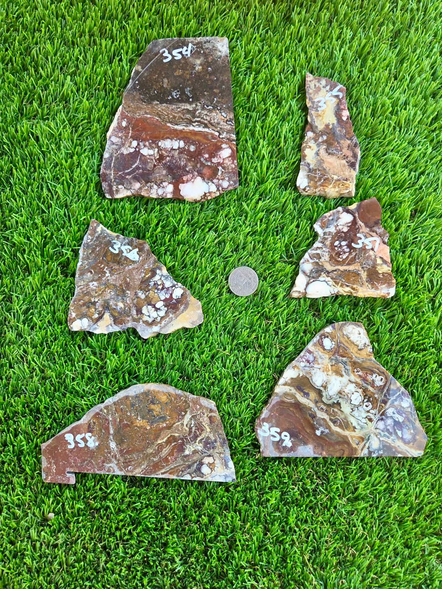 Wild Horse Jasper Slabs G354-359