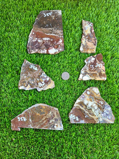 Wild Horse Jasper Slabs G354-359