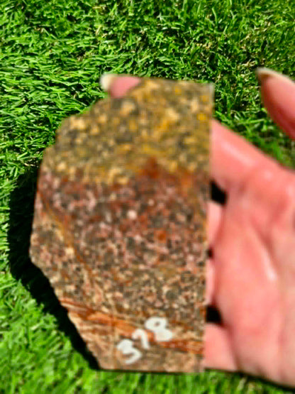 Leopard Skin Jasper Slabs H371-378