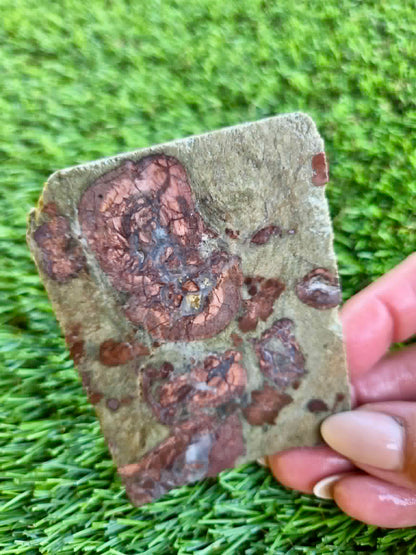 Green Mushroom Rhyolite Slabs G360-362