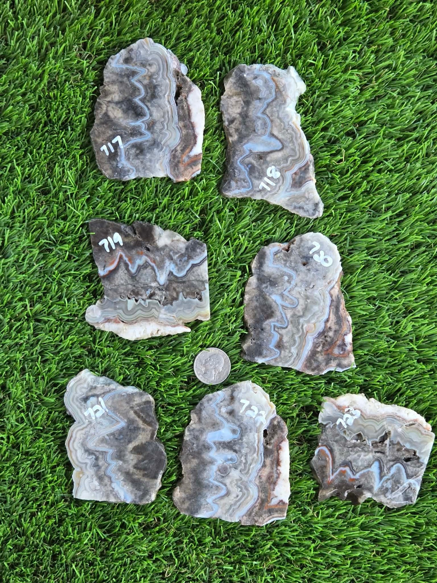 Gray Banded Crazy Lace Agate Slabs O717–723