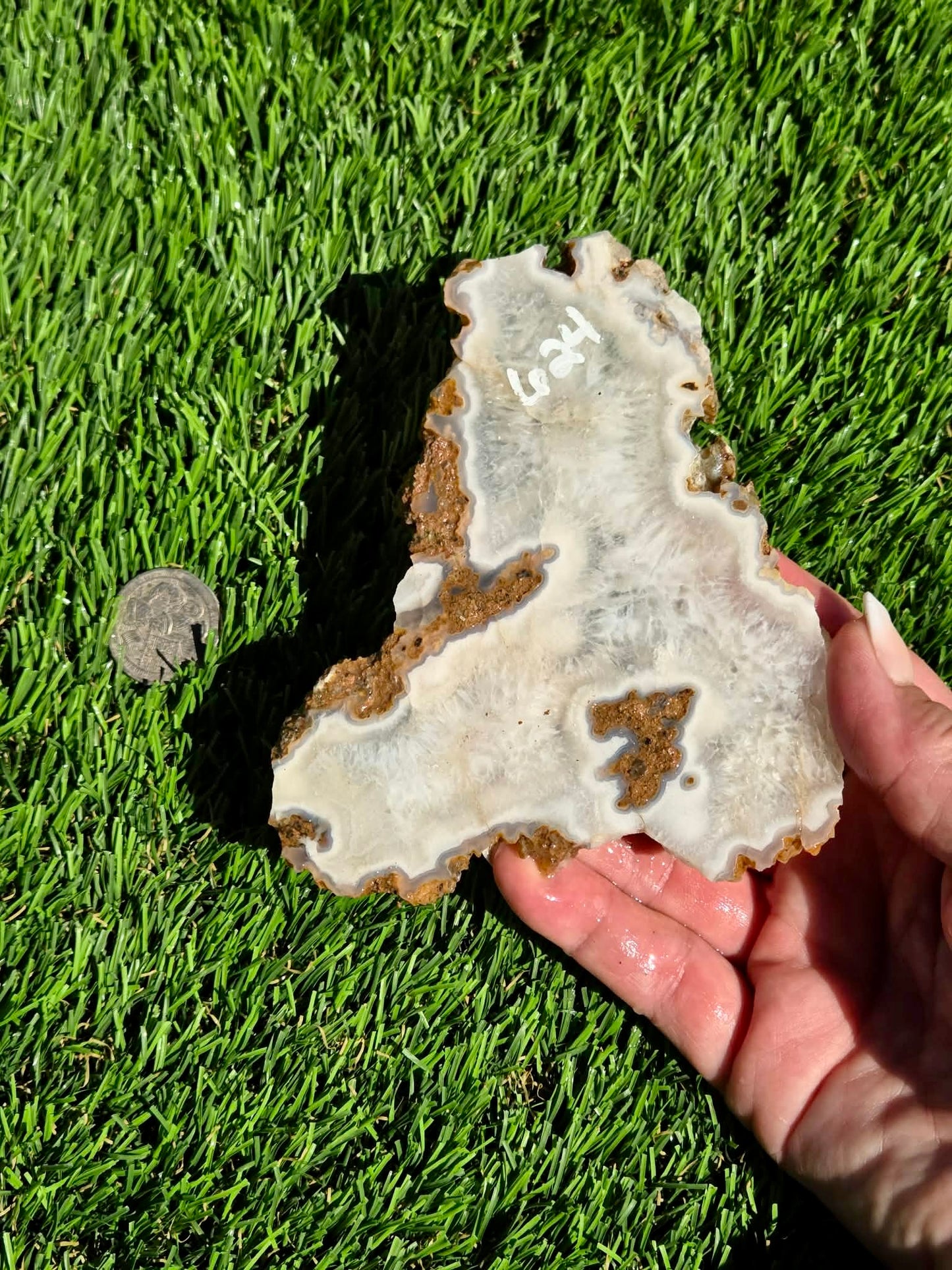 Natural Fortification Agate with Quartz Crystal Druzy Slabs M624-629