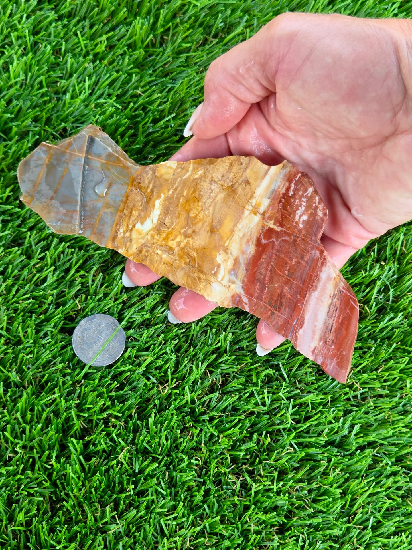 Multicolor Banded Jasper Slabs N669-672
