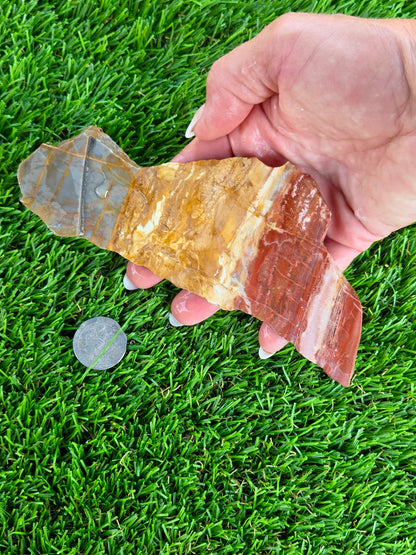 Multicolor Banded Jasper Slabs N669-672