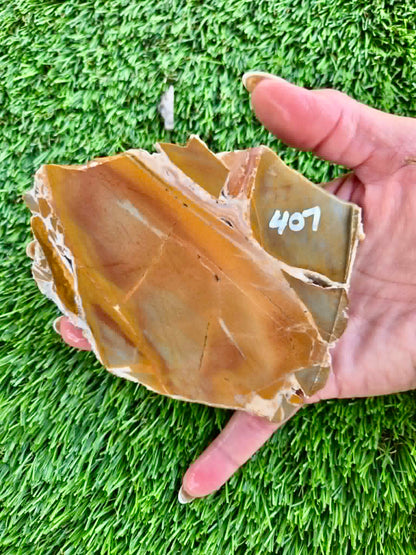 Golden Desert Jasper Slabs H405-408